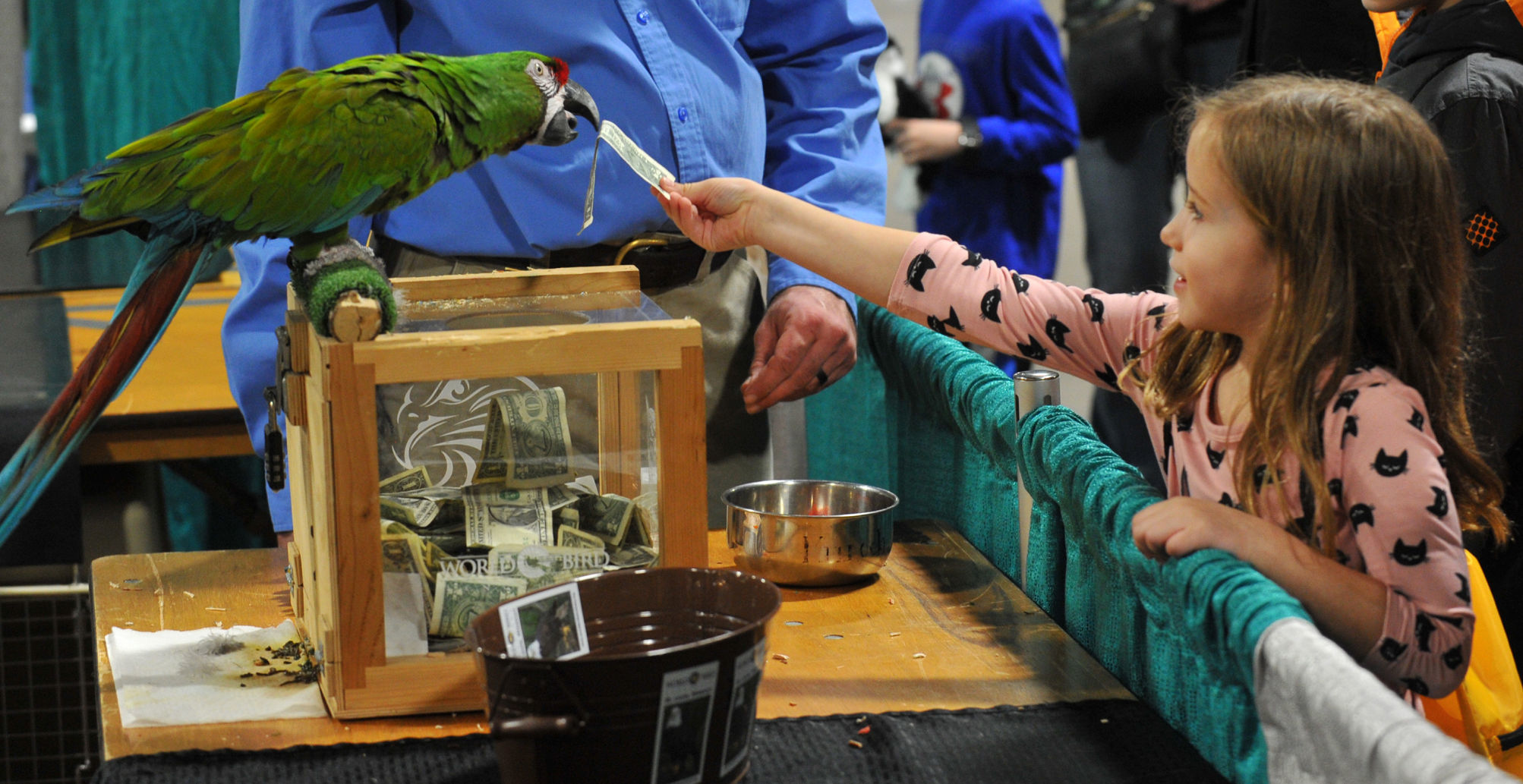 Bald Eagle Days at the QCCA Expo Center